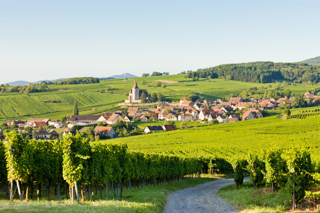 Karafferen of decanteren?