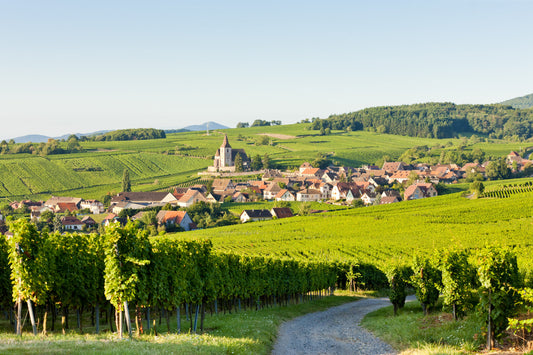 Karafferen of decanteren?